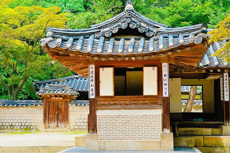 구강유산균